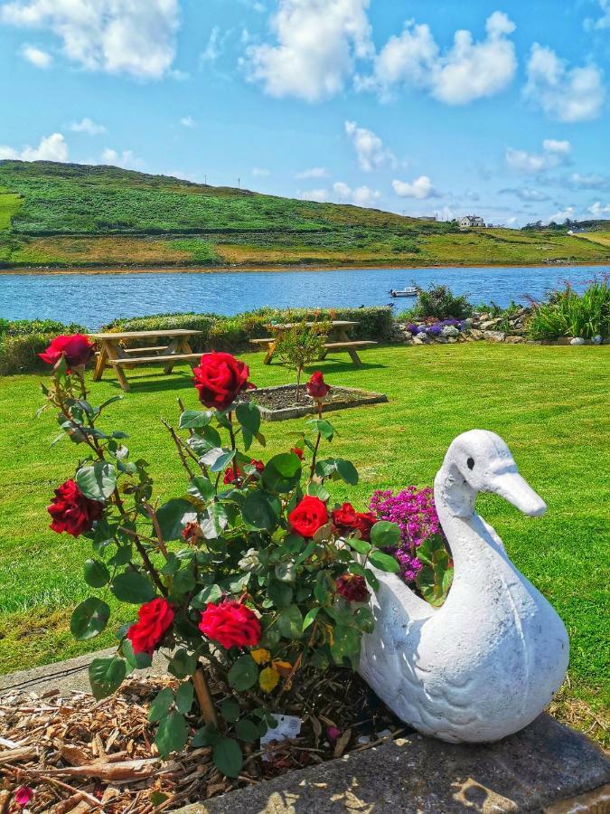 Ocean Villa Country Home Clifden Kültér fotó