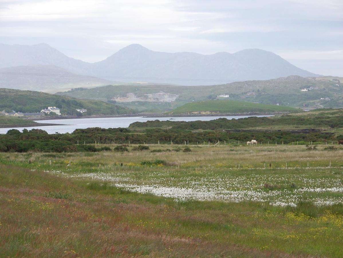 Ocean Villa Country Home Clifden Kültér fotó